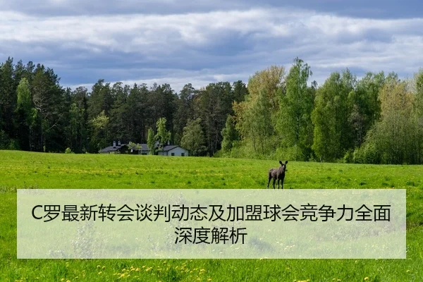 C罗最新转会谈判动态及加盟球会竞争力全面深度解析 - WEIDE SPORTS